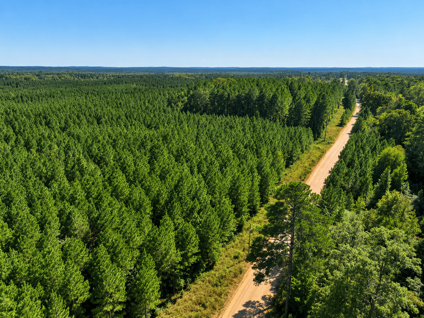 Aerial view of rural timberland and recreational acreage in the Southeast